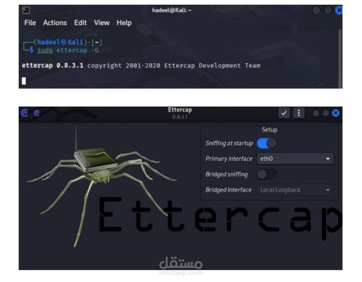 Man-in-the-Middle Attack Simulation