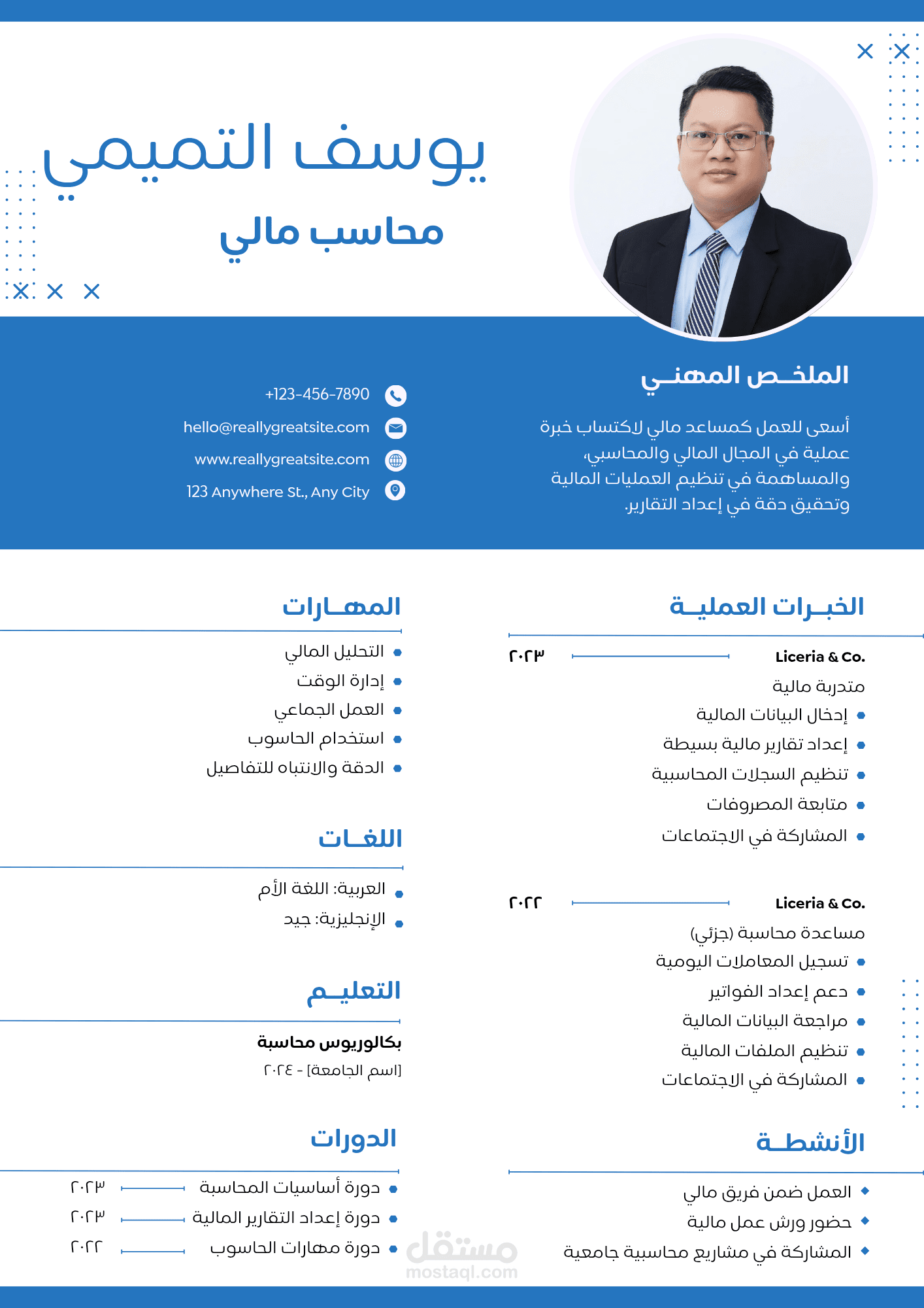 تصميم إنفوغرافيك سيرة ذاتية لمدير حسابات ومحلل مالي باللغة العربية