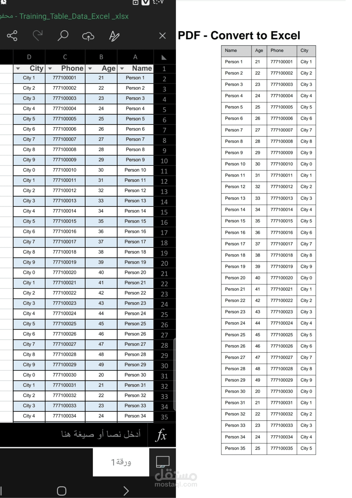 ادخال البيانات وتنظيمها في Excel بأحترافية.