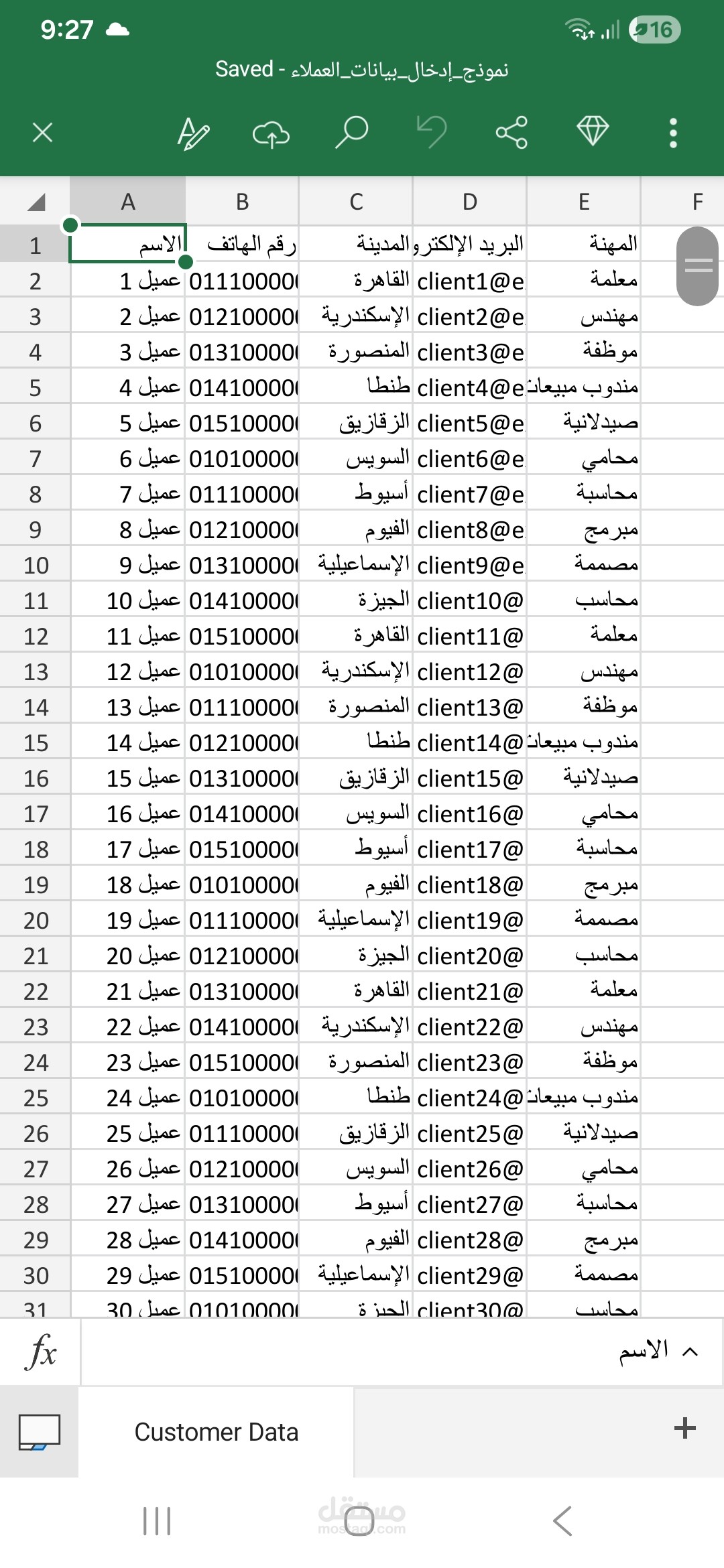 إدخال وتنظيم بيانات العملاء باستخدام Microsoft Excel