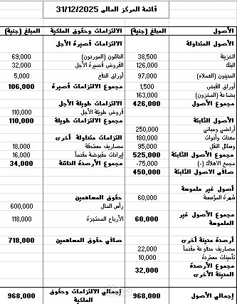 نموذج للقوائم المالية