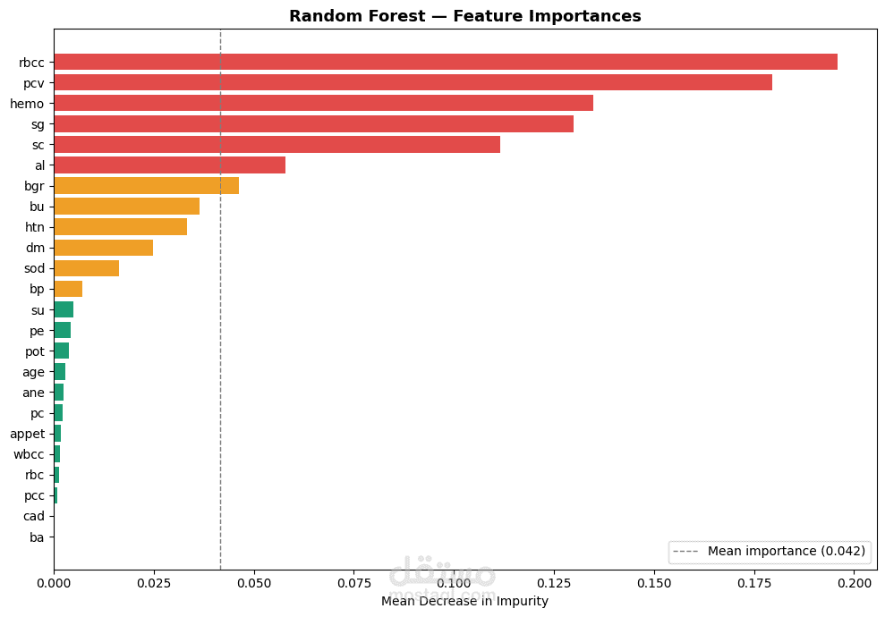 Chronic Kidney Disease Risk Prediction Model