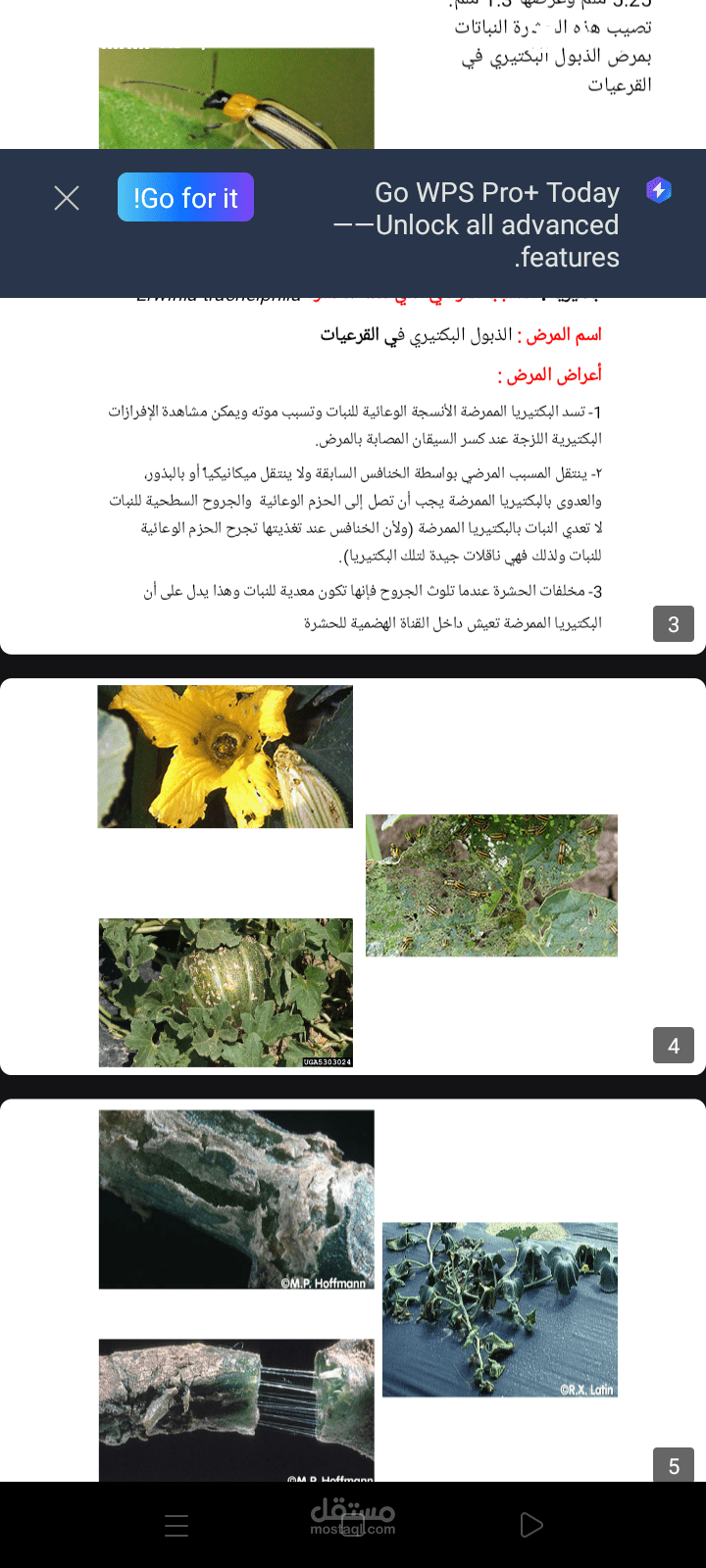 باور بوينت