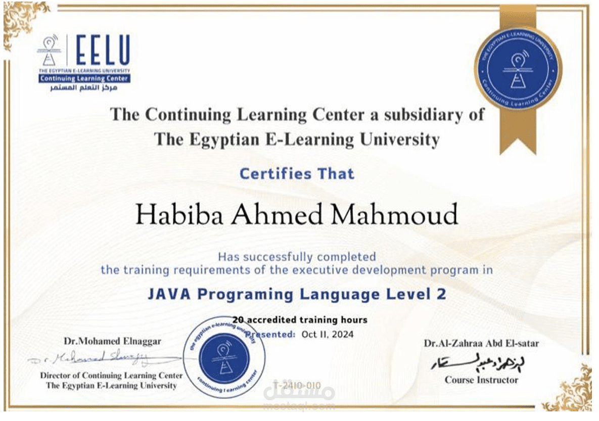 Python programming language                     ▪ Java programming language