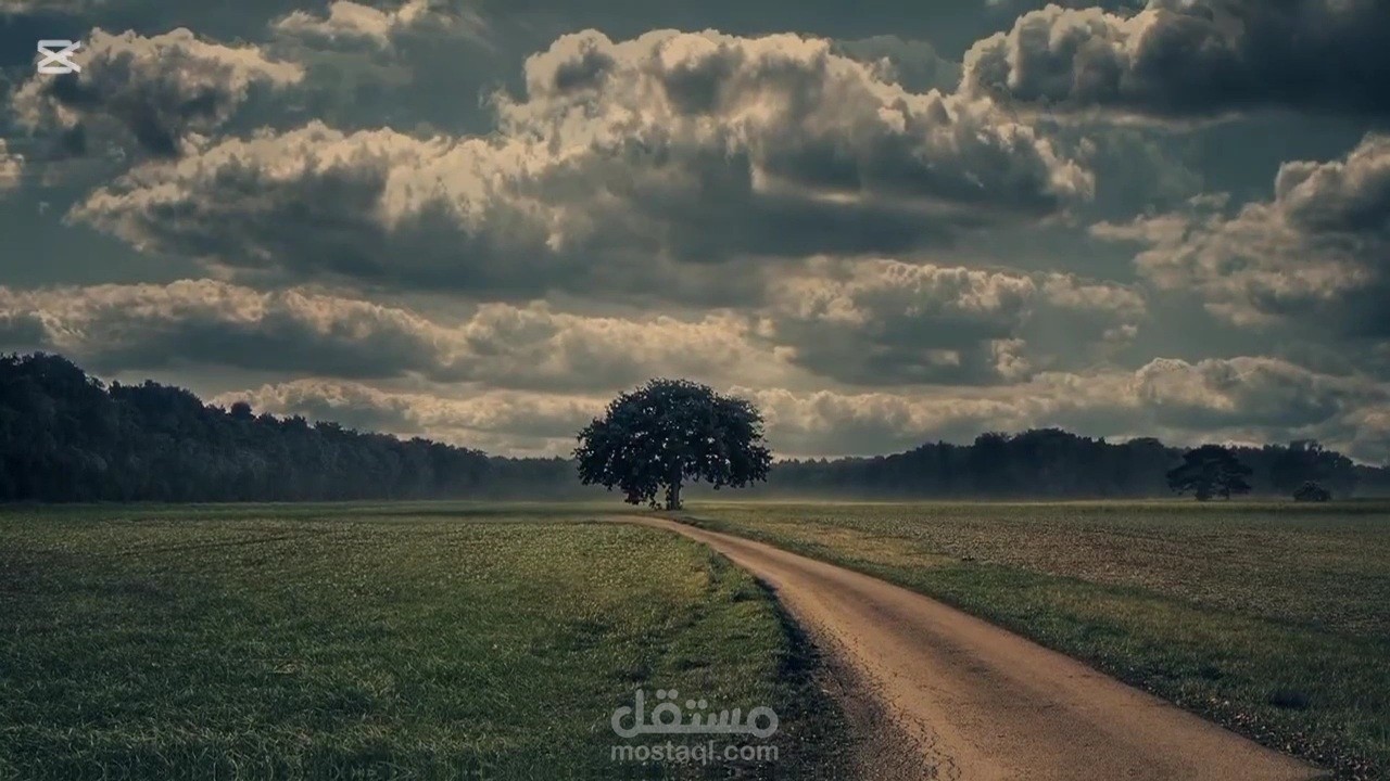 تعليق وثائقي هادئ