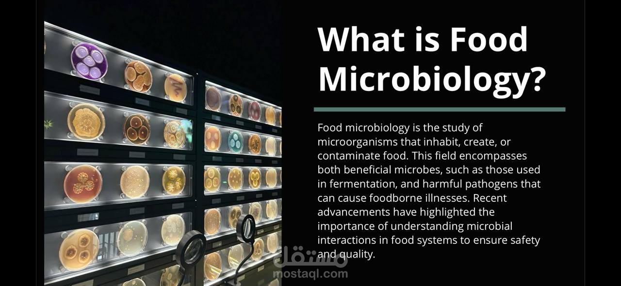 ميكروبيولوجيا الأغذية(لبرزنتيشن Food Microbiology)