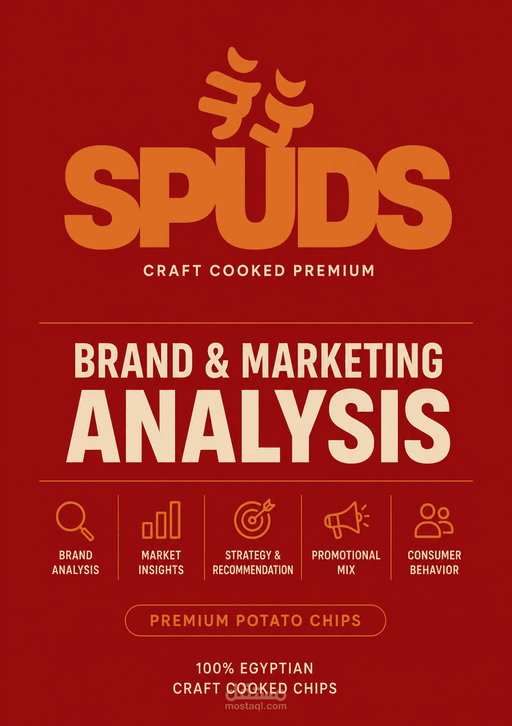 Spuds – Brand & Marketing Analysis