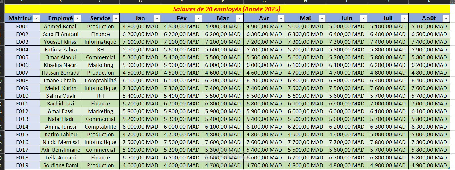 نظيم ومعالجة بيانات الرواتب على برنامج Excel