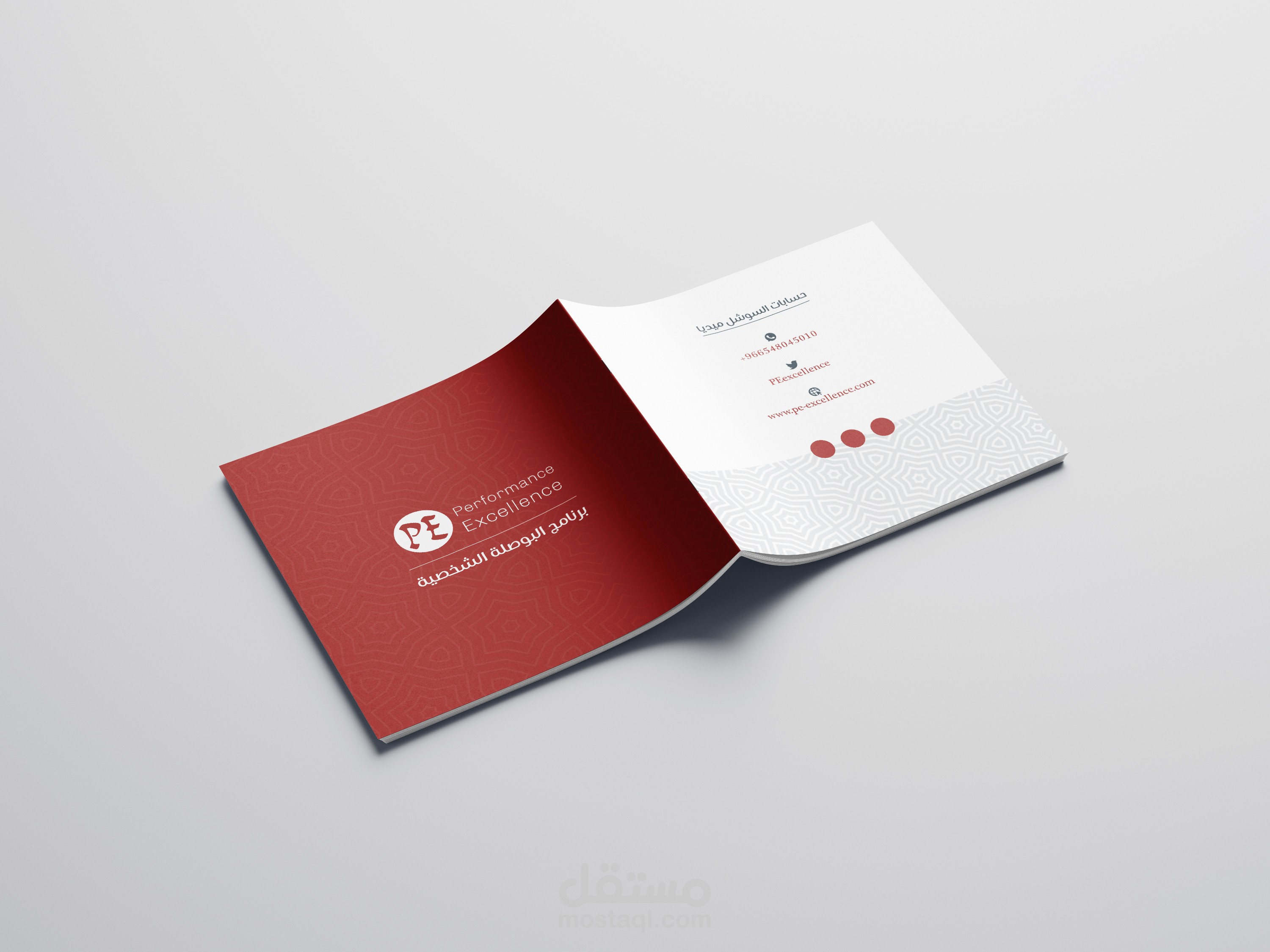 تصميم بروفايل لبرنامج تدريبي " لصالح شركة تسويقية"