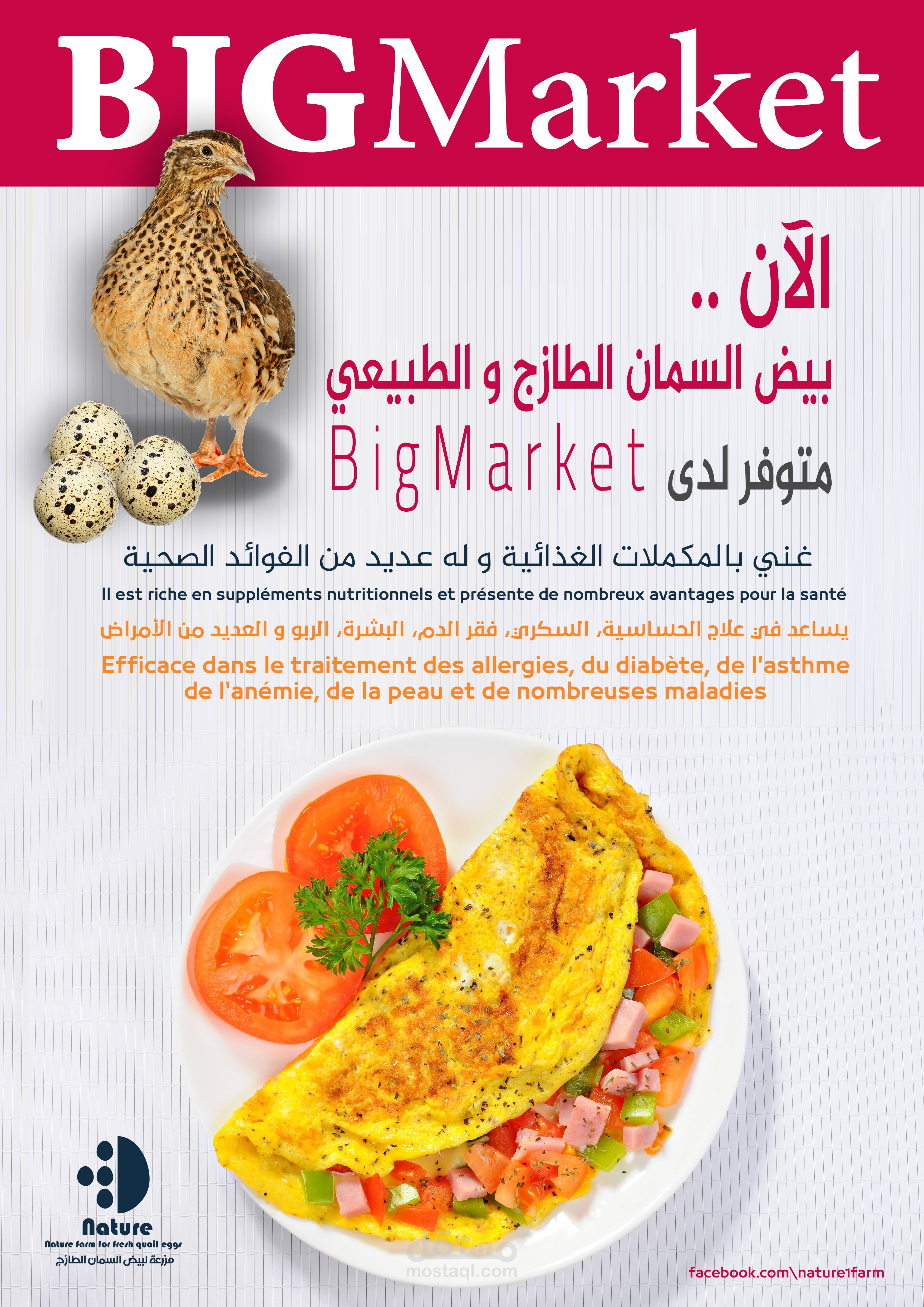 بروشورات و ملصات لمنتج