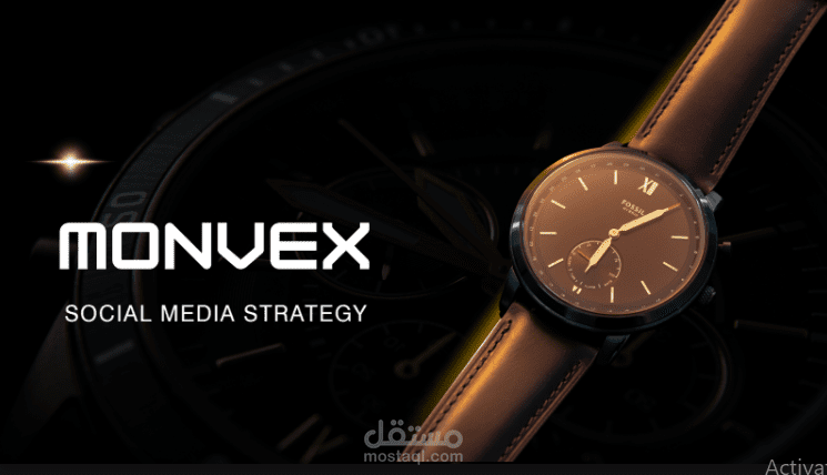 MONVEX SOCIAL MEDIA STRATEGY