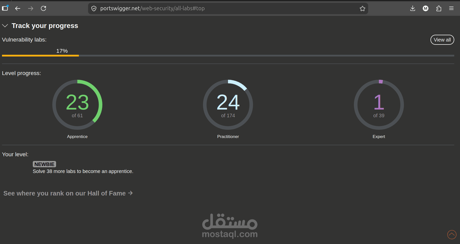 تحليل واختبار أمن تطبيقات الويب (Advanced Security Research & Lab)