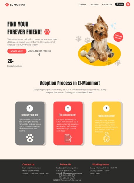 adoption pet center