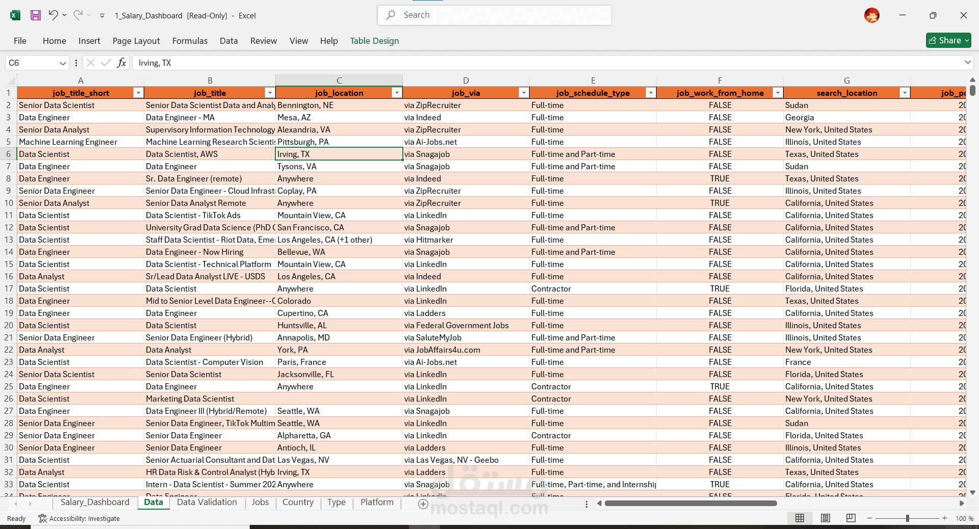 Excel Data Cleaning Project