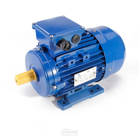 The three phase induction motor