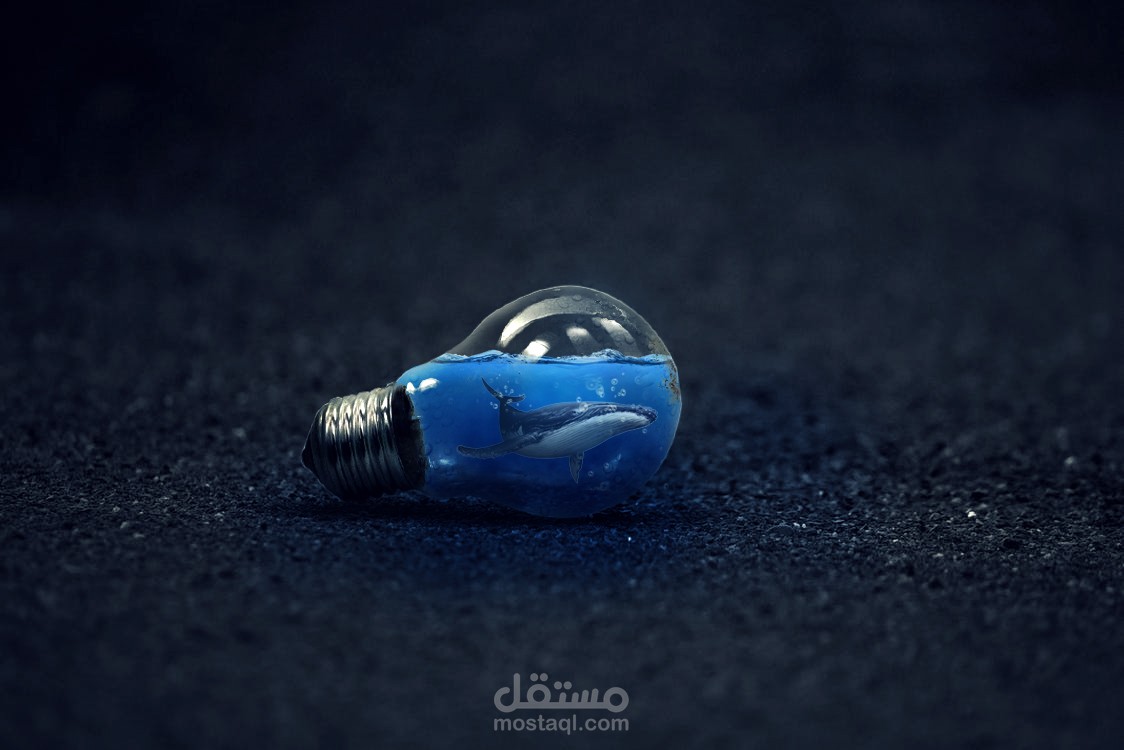 .Bulb