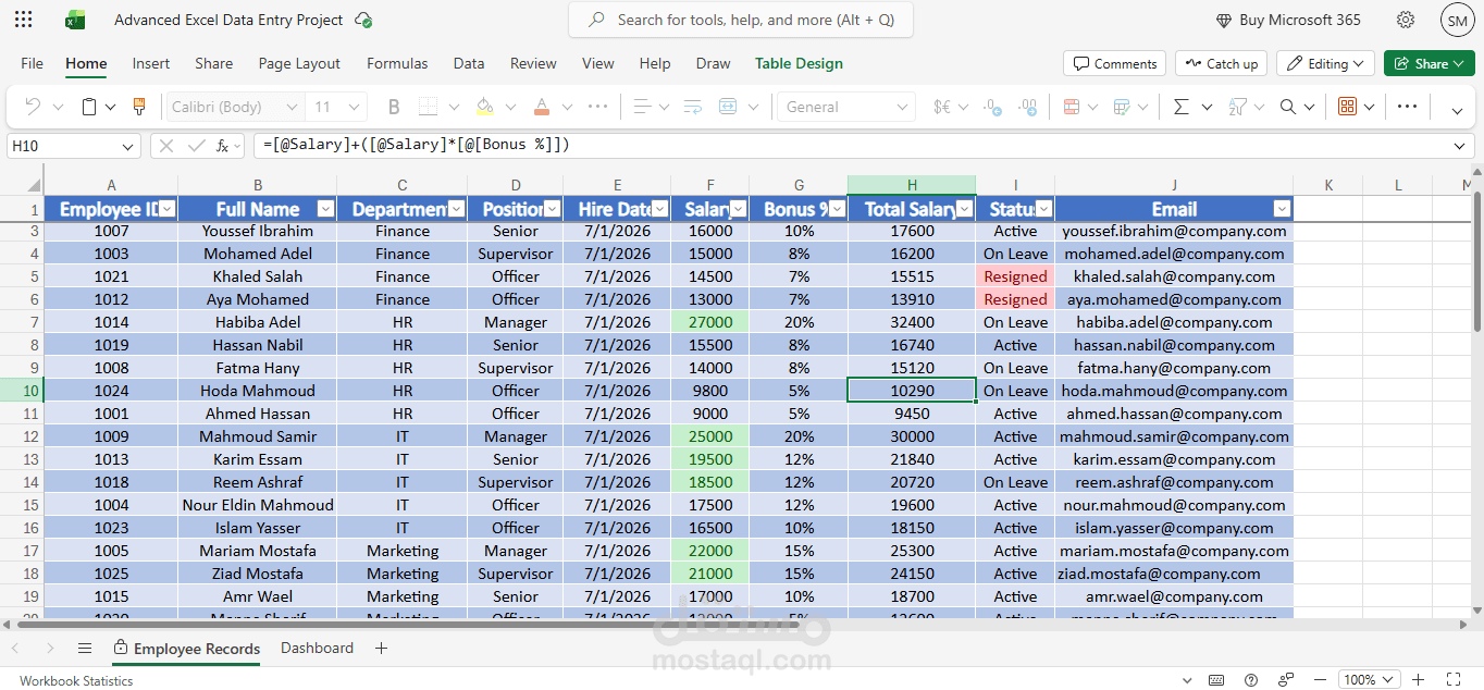 Advanced Excel Data Entry Project