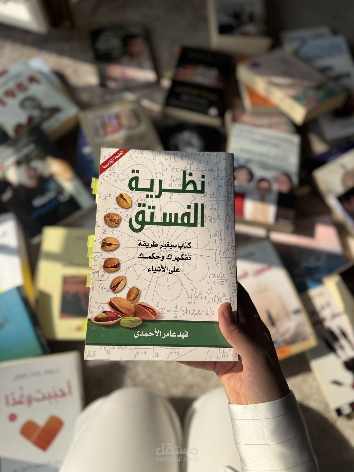 ملخص كتاب نظرية الفستق