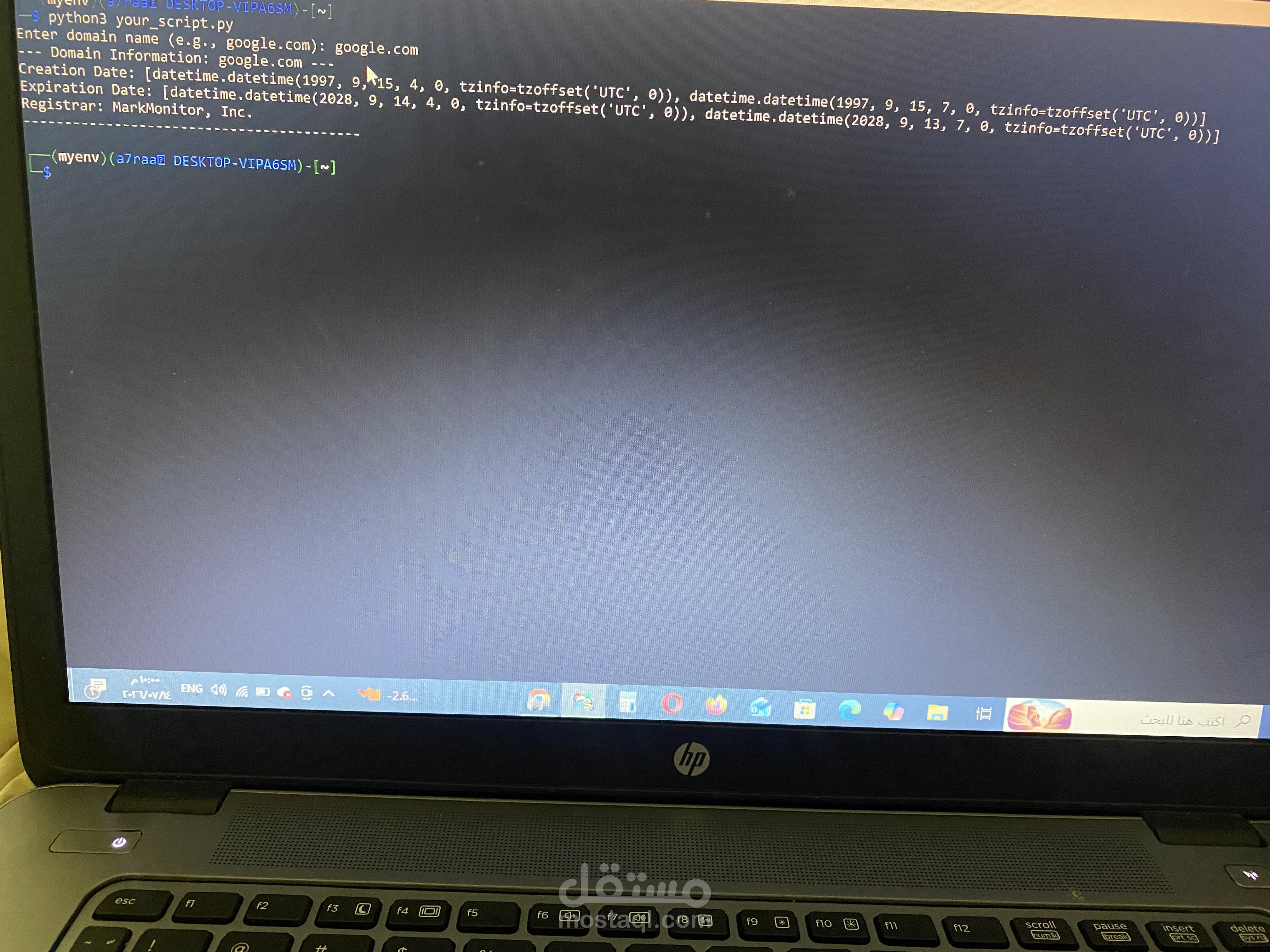 Domain information lookup tool-python
