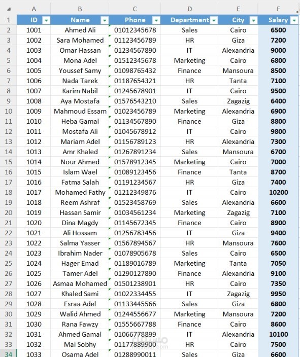 إدخال وتنظيم البيانات باستخدام Microsoft Excel