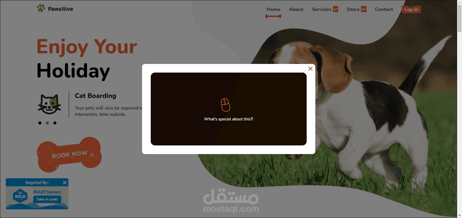 موقع للاعتناء بالحيوانات الاليفه Pawsitive | Your pets compassionate and nurturing care