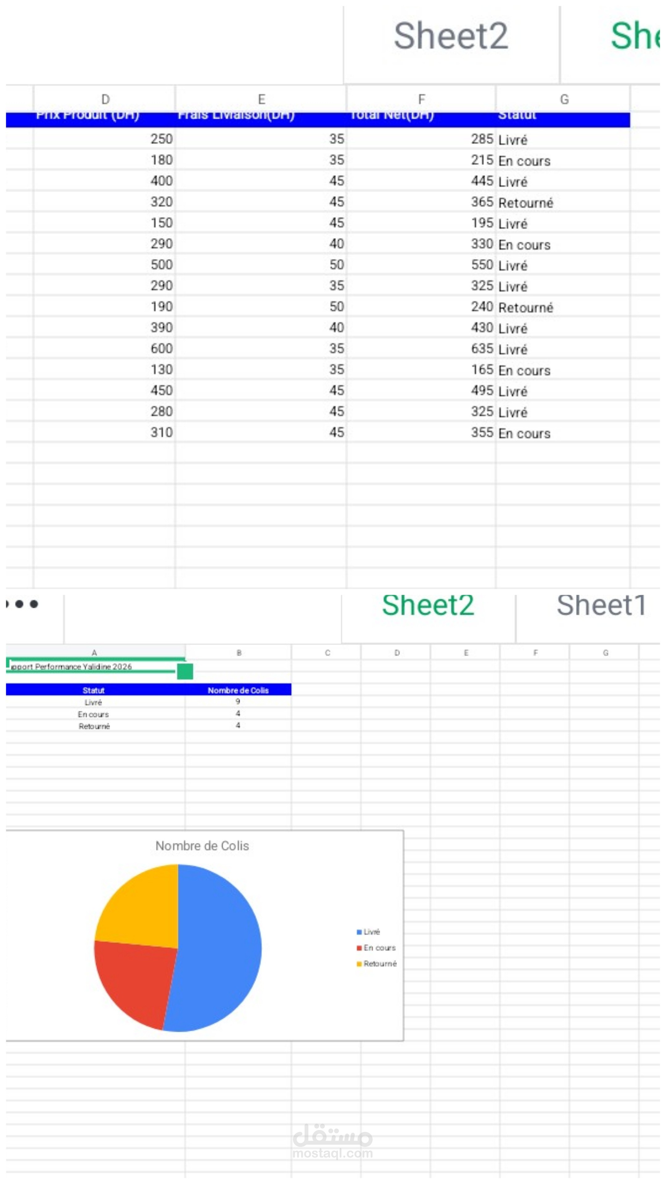 أخصائية إدخال بيانات وتحليل تقارير المبيعات والشحن عبر Excel