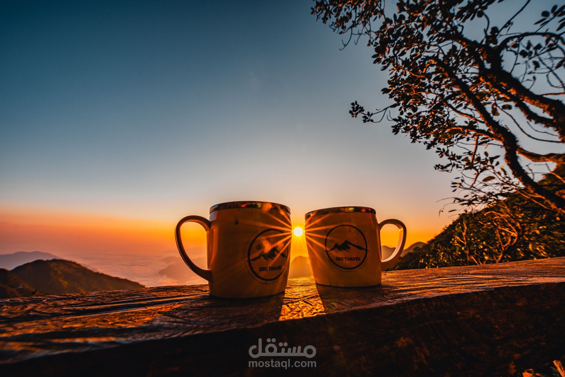 فيديو اعلانى بأستخدام Cup Cut