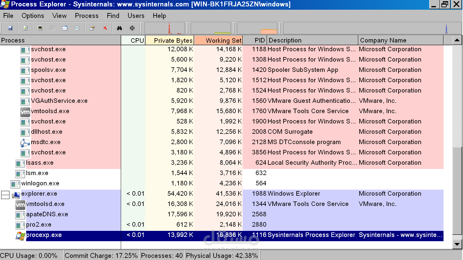 تحليل البرامج الخبيثة  malware Analysis