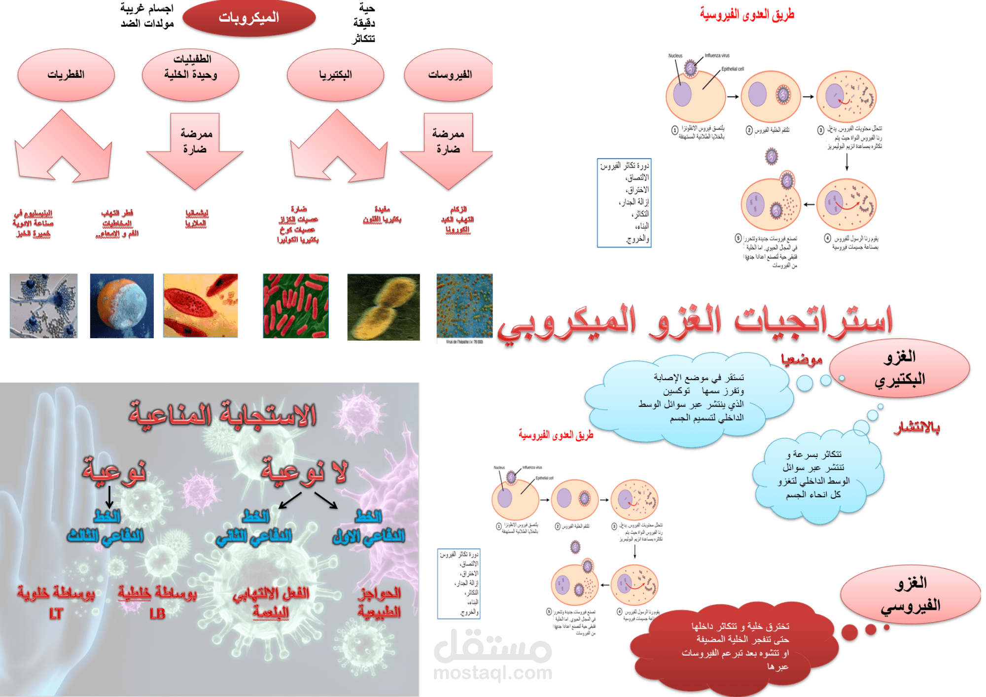 المناعة  درس الاجسام الغريبة و المكروبات