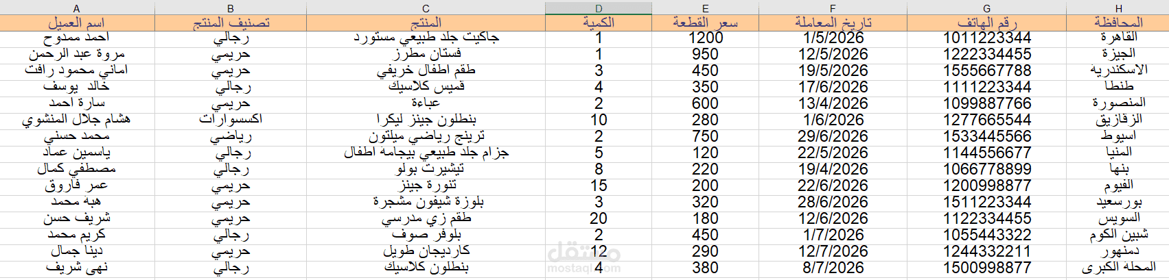 إدخال وتنسيق سجل مبيعات متجر  على Excel