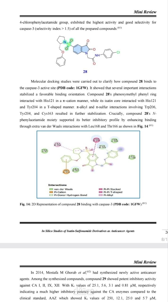 Scientific Literature Review Sample/تحليل نتائج Molecular Docking وSAR وعرضها في بحث علمي