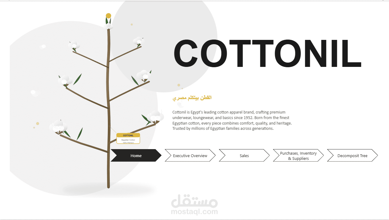 لوحة تحليل مبيعات وأداء شركة Cottonil باستخدام Power BI