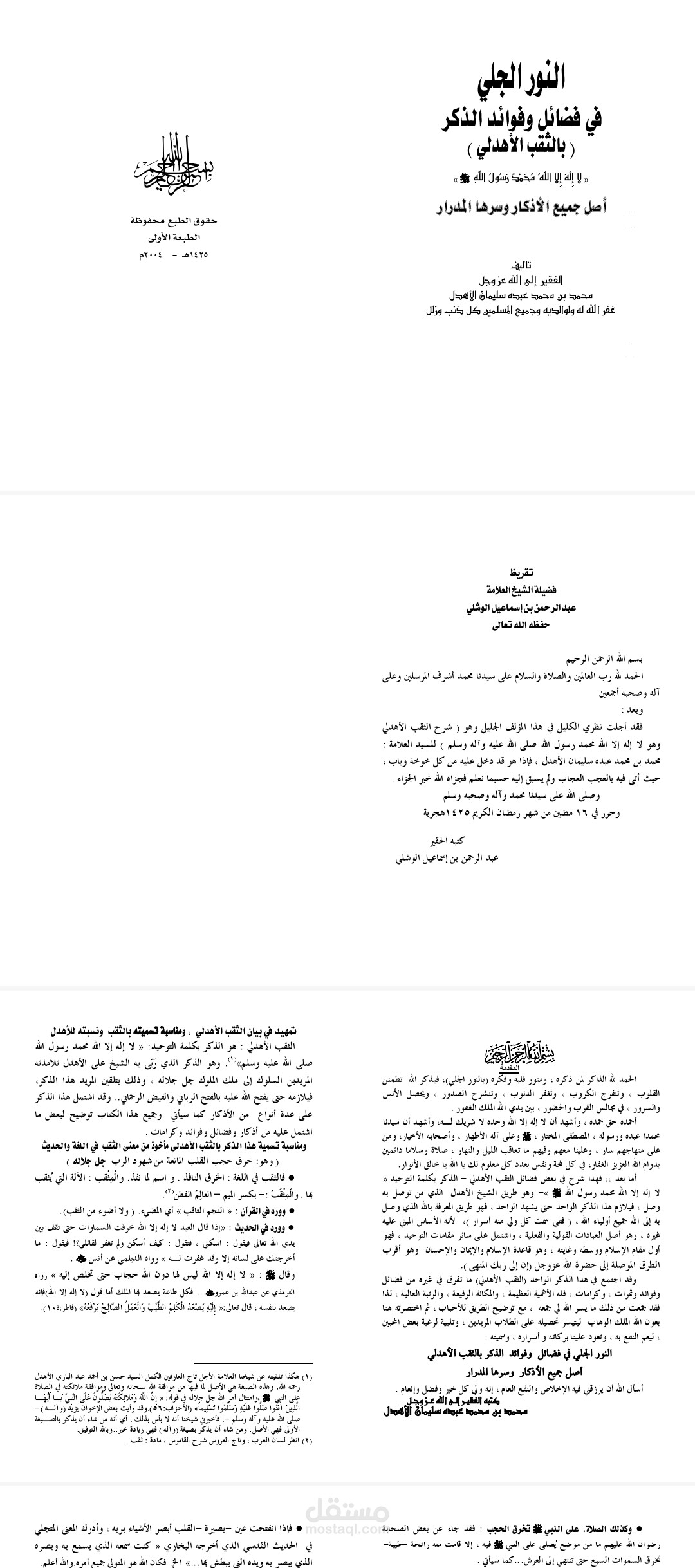 كاتب محترف
