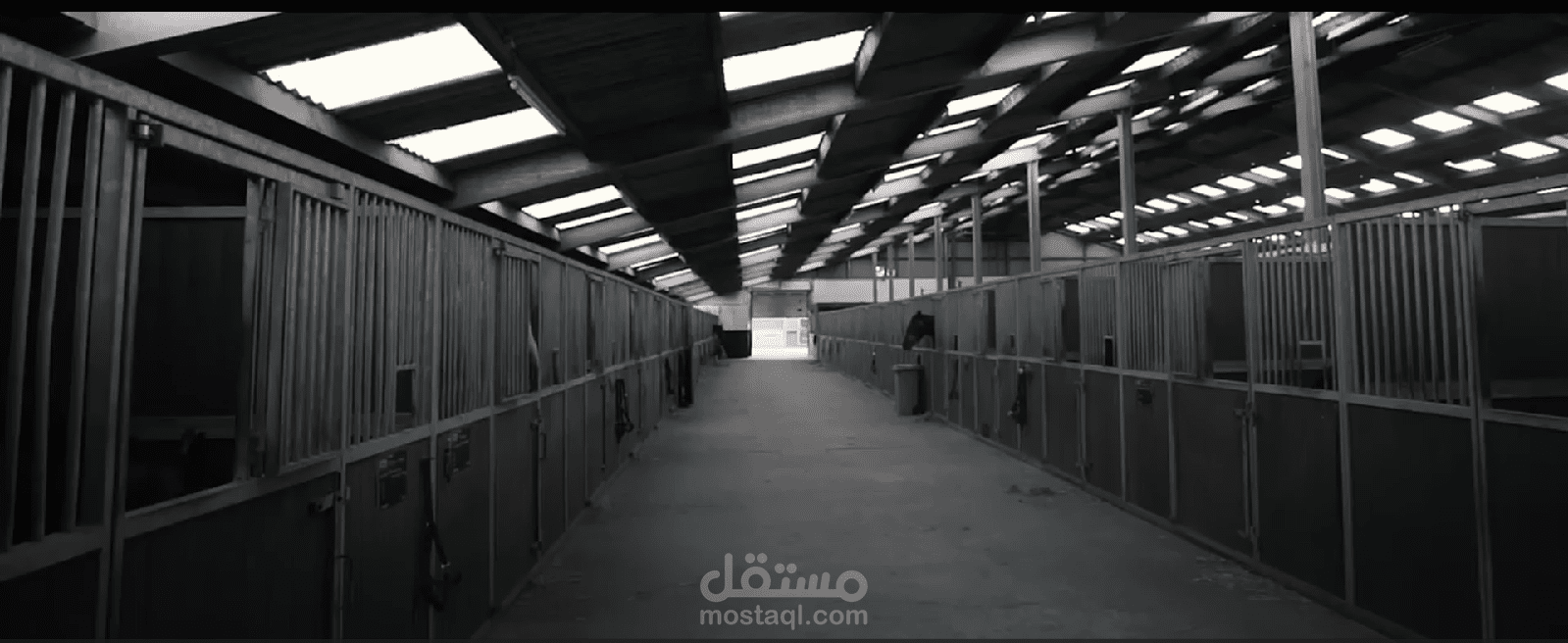 تحرير فديو جذاب