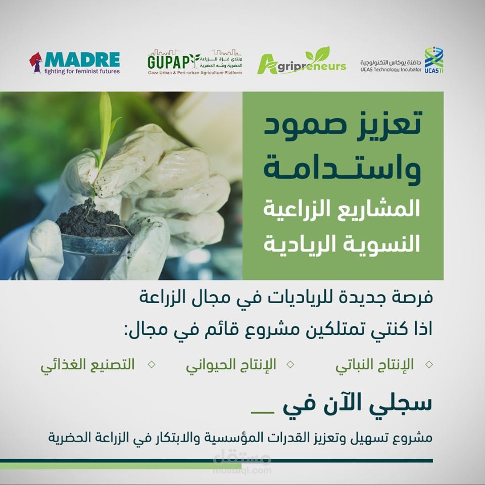 أعمالي في التصميم الإبداعي