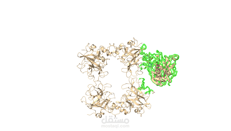 n Silico Molecular Docking, Protein-Ligand Interaction Profiling, and Binding Free Energy Calculation