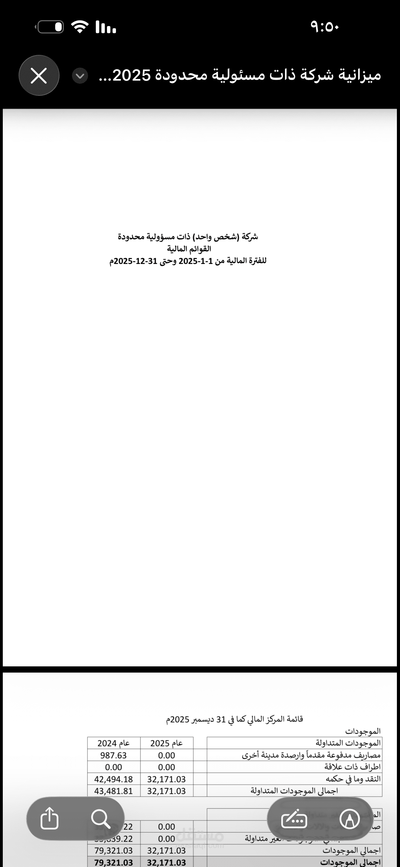 ميزانية شركة ذات مسئولية محدودة