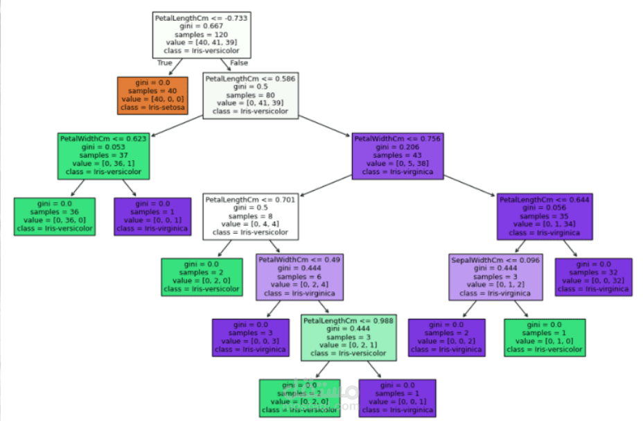 Iris Classification