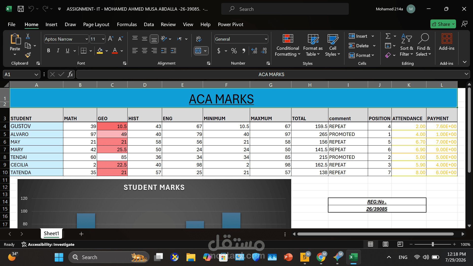 تنظيم وتنسيق جداول البيانات ومعالجتها باستخدام Microsoft Excel