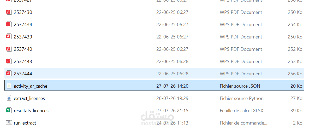 استخراج البيانات من ملفات PDF وتحويلها إلى إكسل تلقائيًا باستخدام سكريبت مخصص
