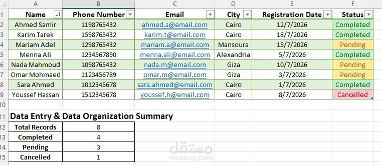 تنظيم وتنسيق البيانات باستخدام Microsoft Excel