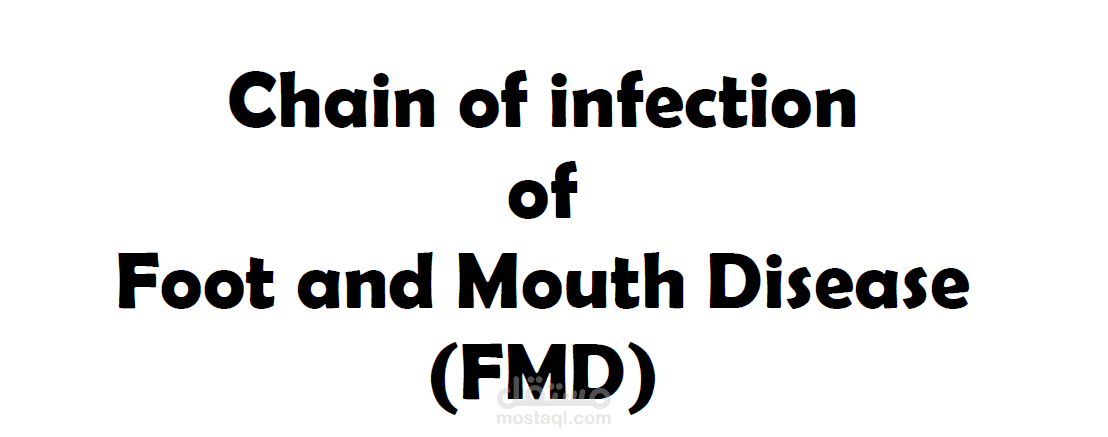 FMD chain of infection