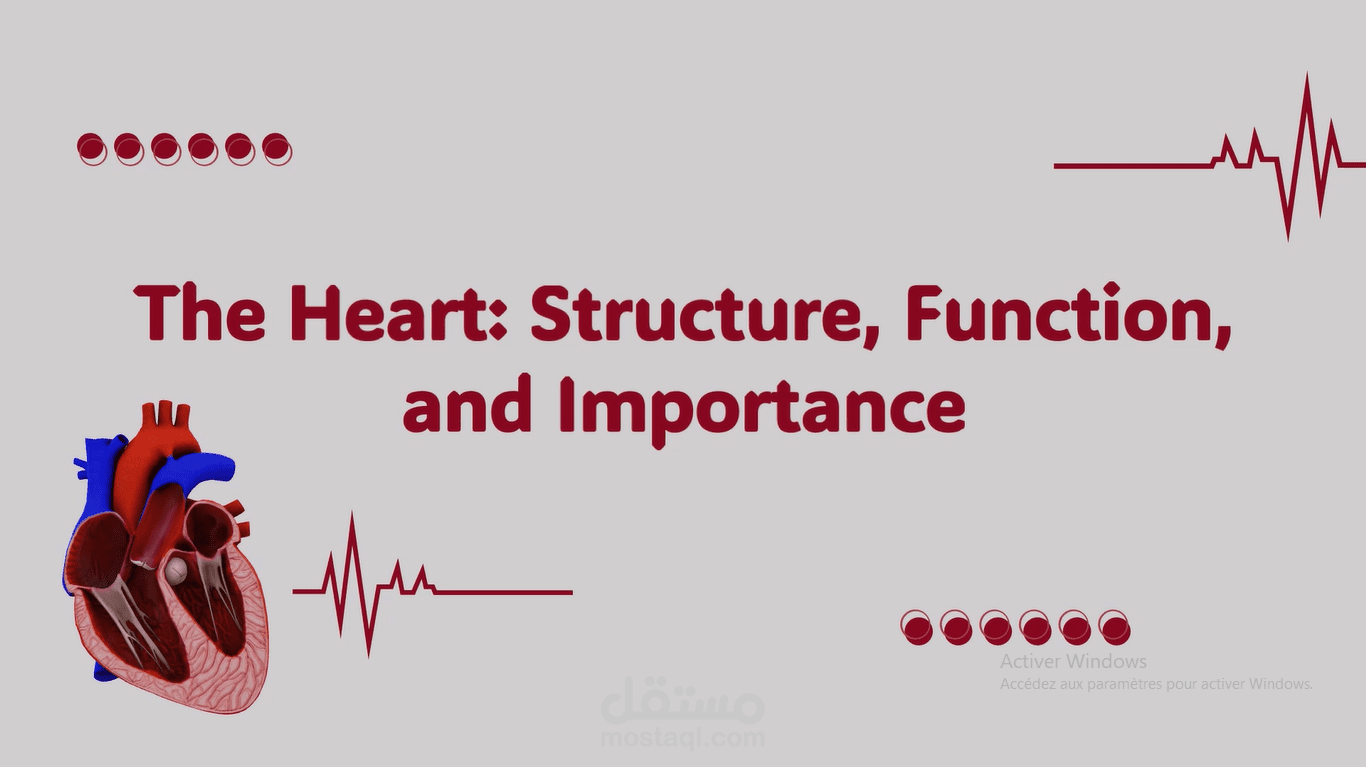تصميم عرض تقديمي احترافي power point