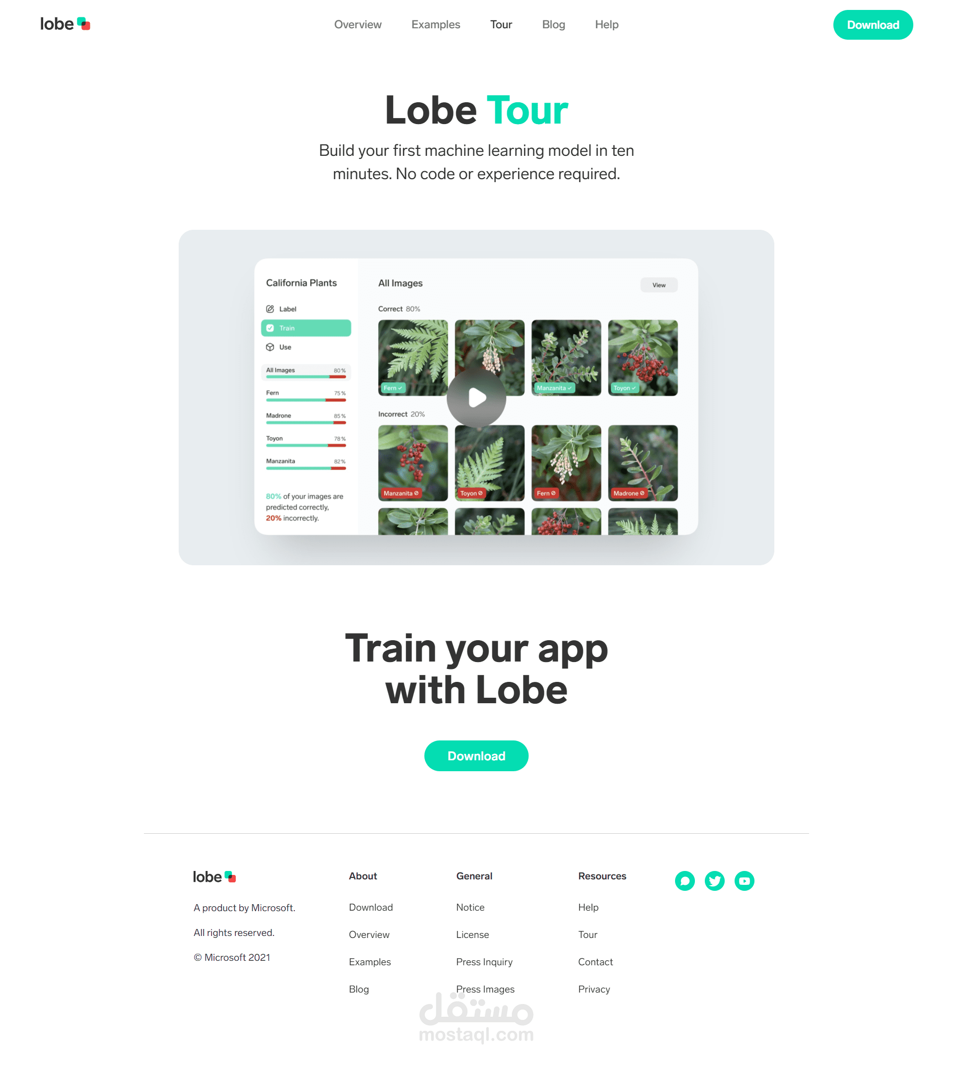 lobe tour