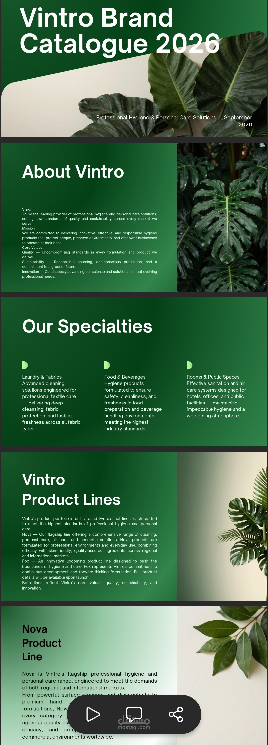 Brand identity
