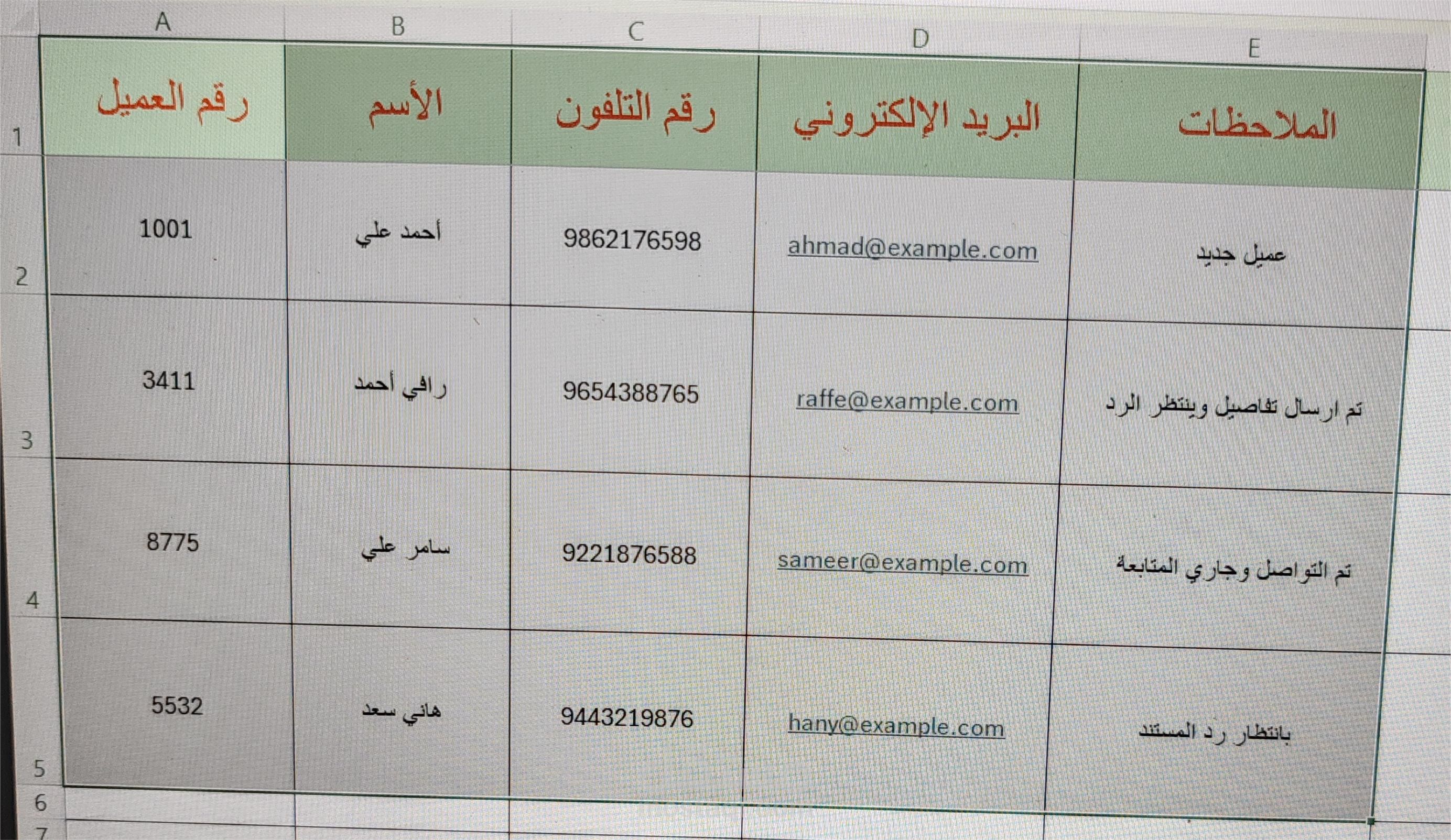 تنظيم وإدخال البيانات باستخدام Microsoft Excel