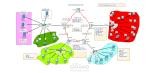 enterprise network design & IP addressing ( subnetting implementation )