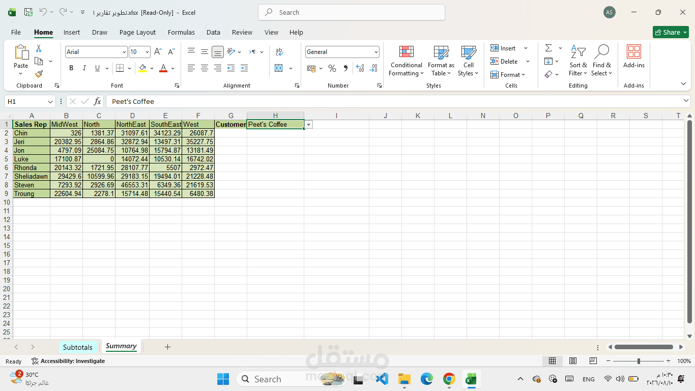 ملخص بيانات على Excel