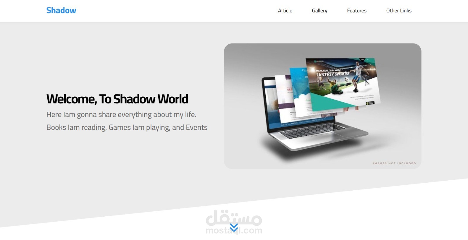 Shadow Landing Page
