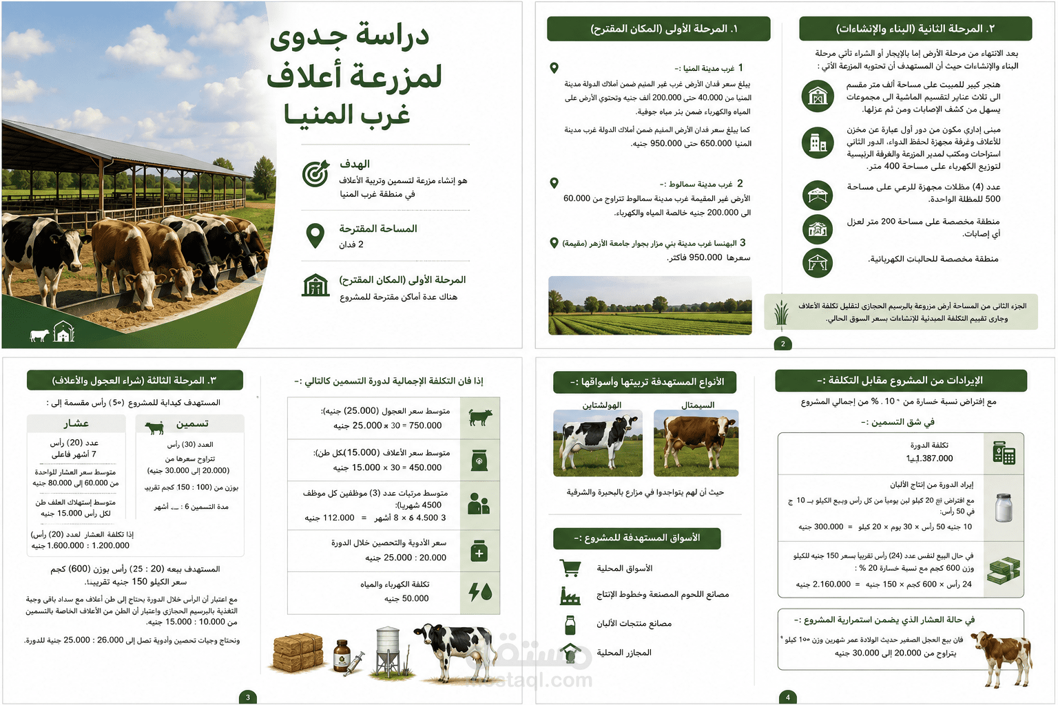 دراسة جدوى لمشروع مزرعة أعلاف وتربية وتسمين الماشية